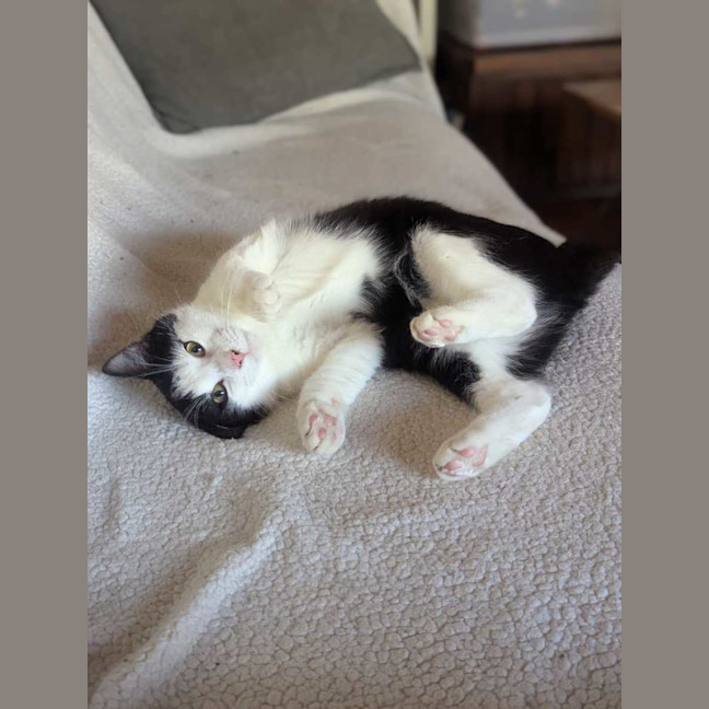 Photo of Emilia & Jade