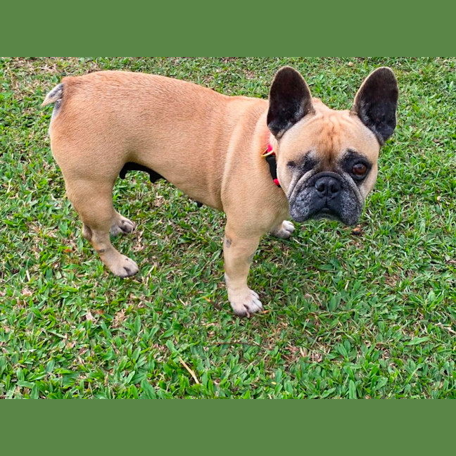 Photo of Betty