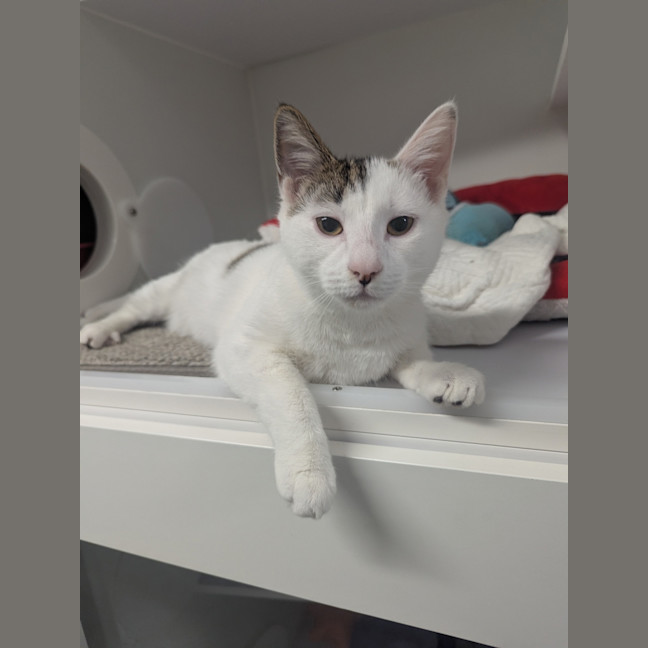 Photo of Kiki