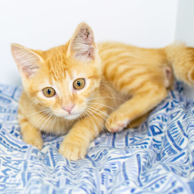 Photo of Fergus