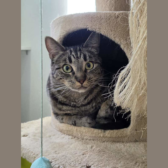 Photo of Percy