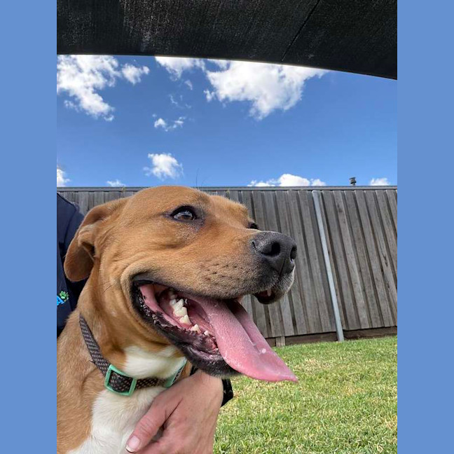 Photo of Lenny