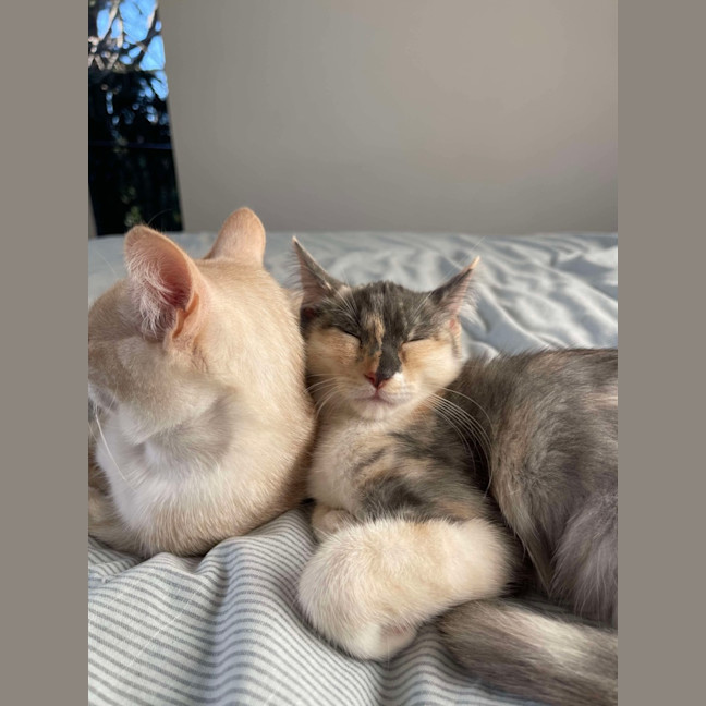 Photo of Stella & Stanley 