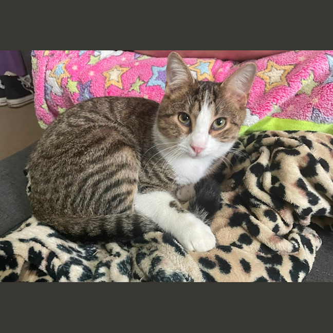 Photo of Tobi