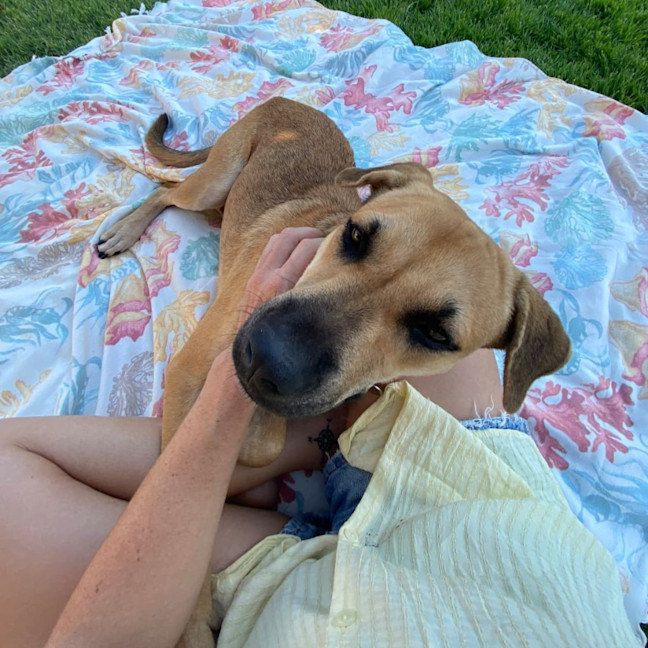 Photo of Allie