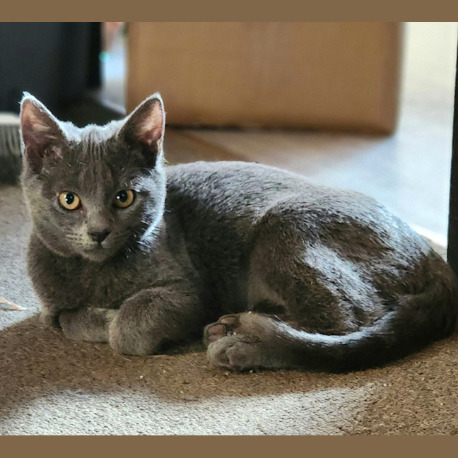 Photo of Rosie