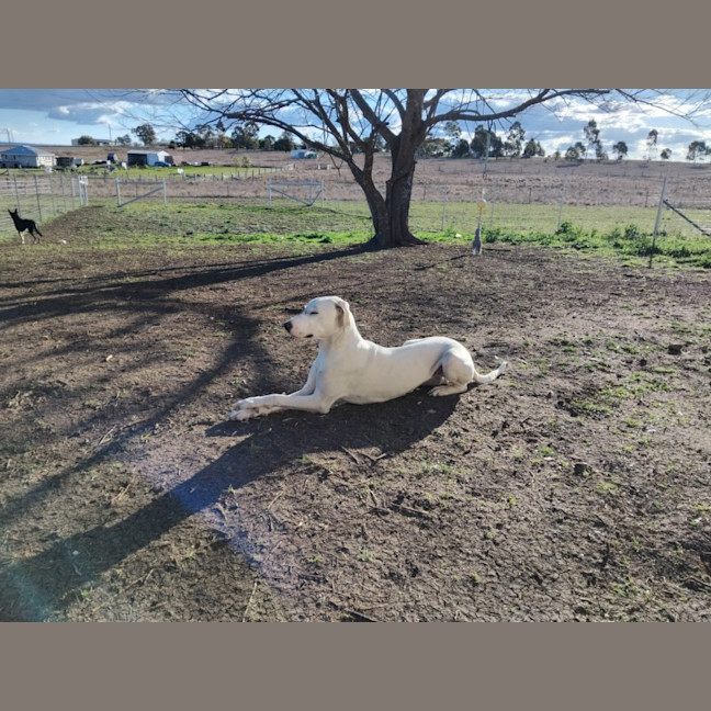 Photo of Minty