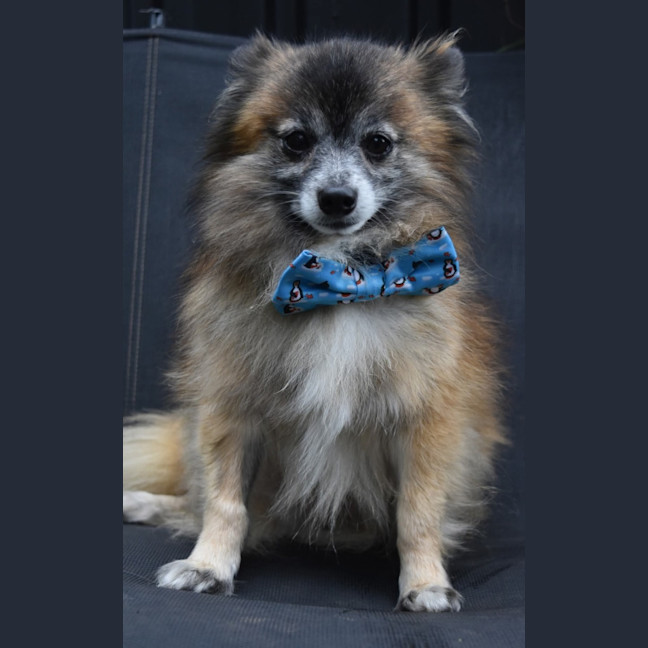 Photo of Evan