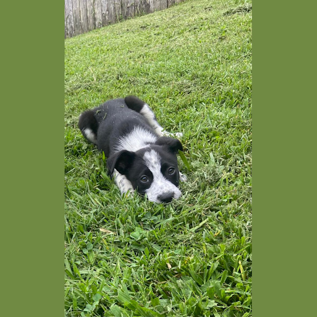 Photo of Stanley