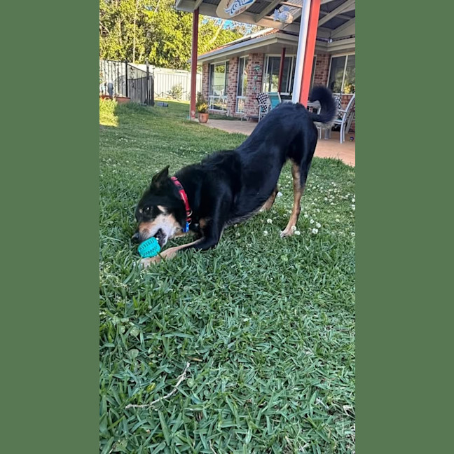 Photo of Fred