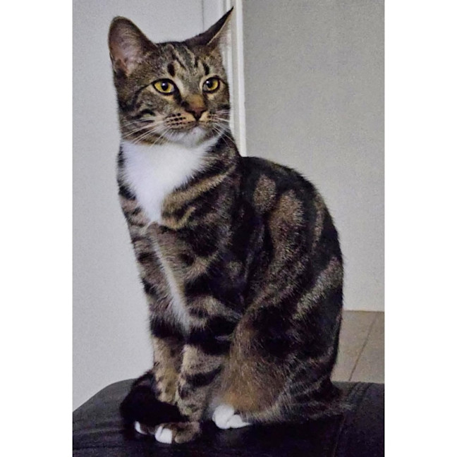 Photo of 11658   Tessa