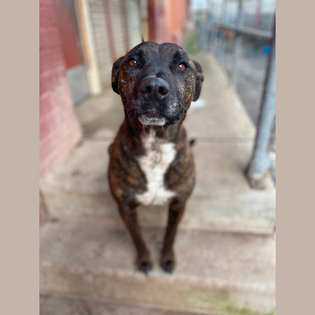 Photo of Georgie