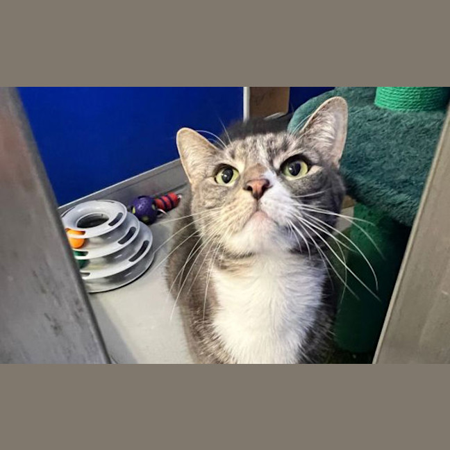 Photo of Otis