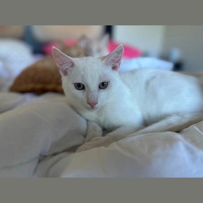 Photo of The Whities! 