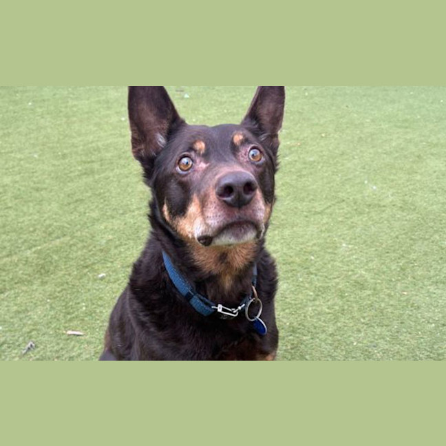Photo of Mr Smiggles
