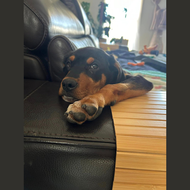 Photo of Magnus