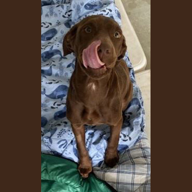 Photo of Polly Waffle