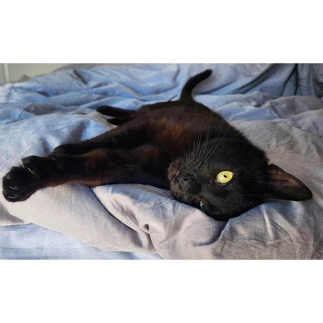 Photo of 9858   Cinimini