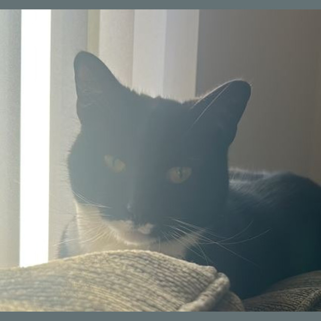 Photo of Chloe