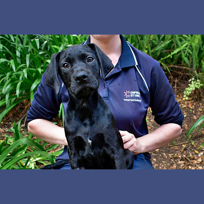 Photo of Judge Nugget