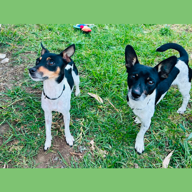 Photo of Jack And Jill 