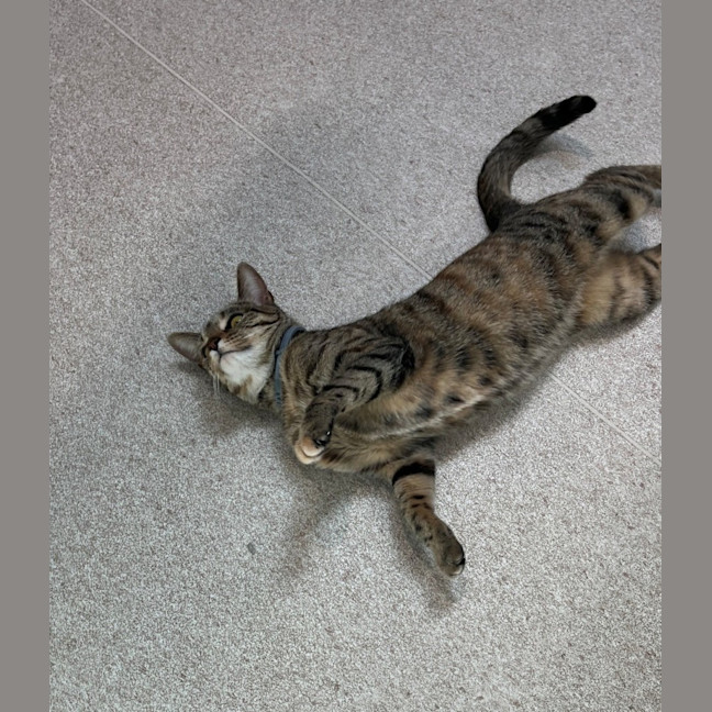 Photo of Louise (9123)