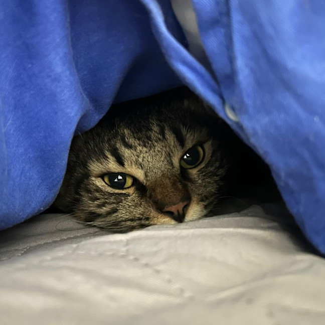 Photo of Tom