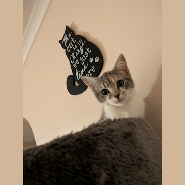 Photo of Mae