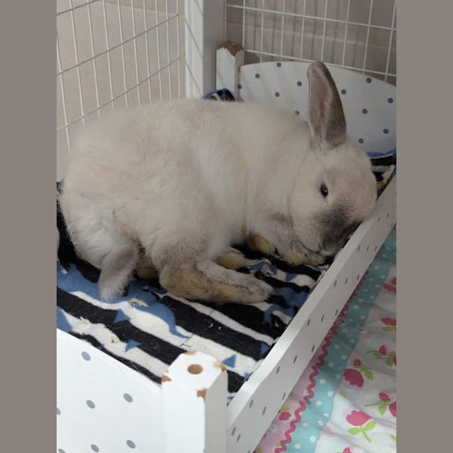 Photo of Bonnie