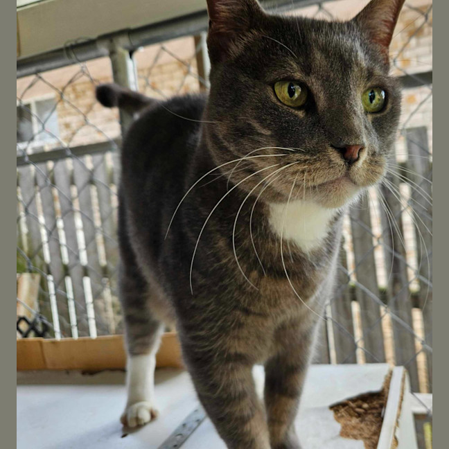 Photo of Max