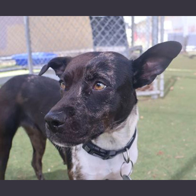 Photo of Cilla