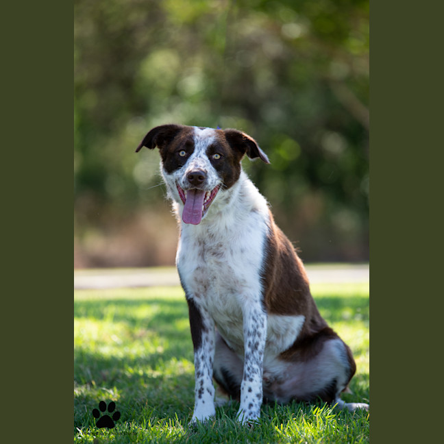 Photo of Mack