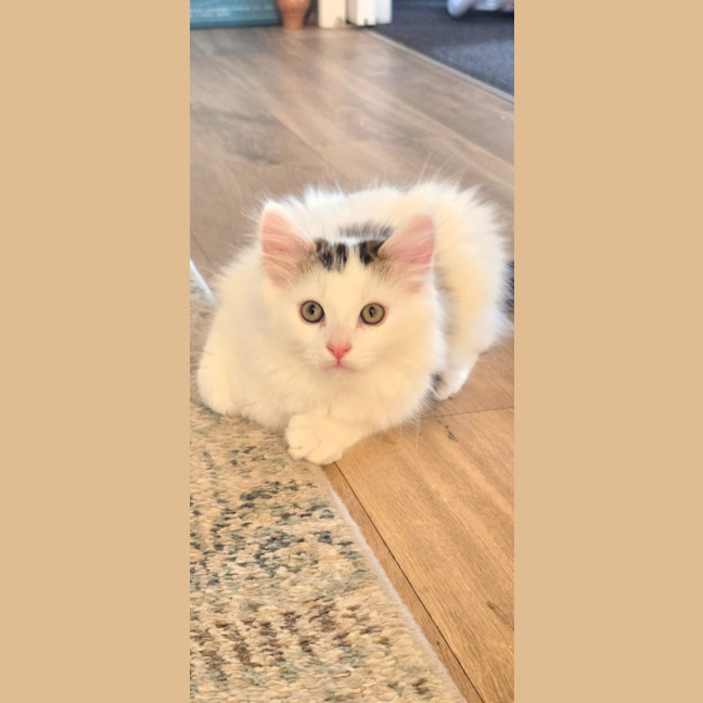 Photo of Hugo