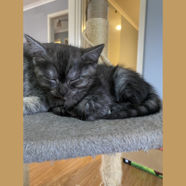 Photo of Tank