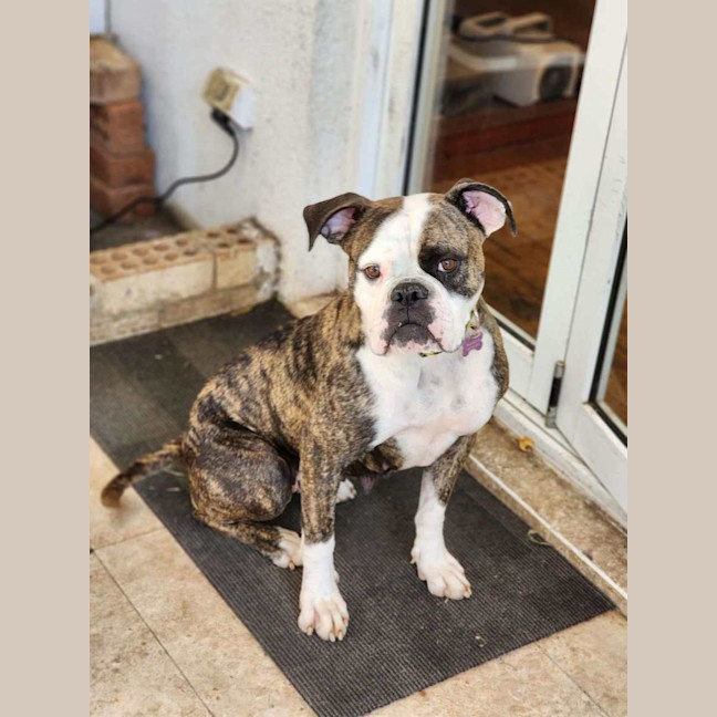Photo of Lola