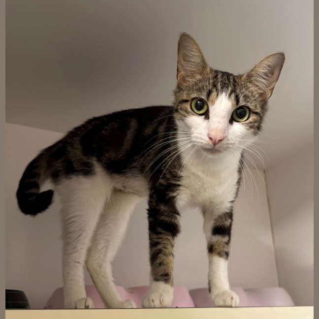 Photo of Sara Bellum