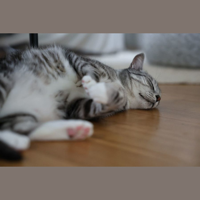 Photo of Mr. Affectionate 