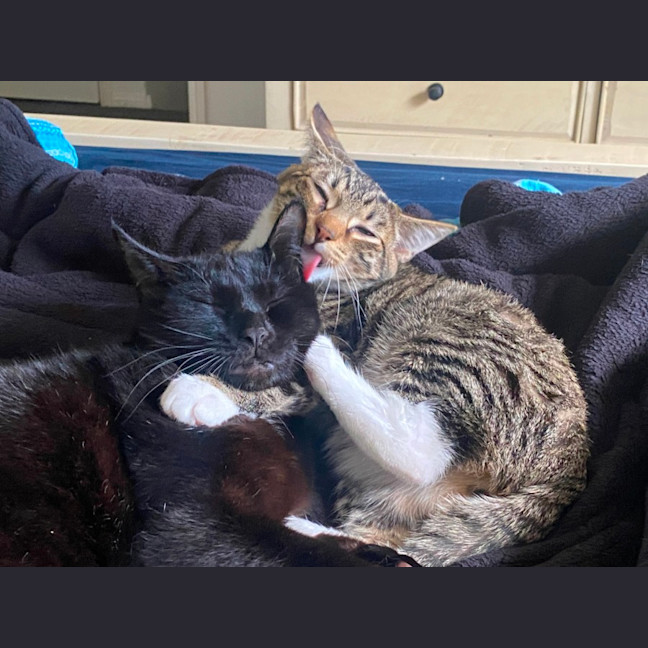 Photo of Bruni (With Jinx)