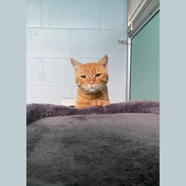 Photo of Kevin