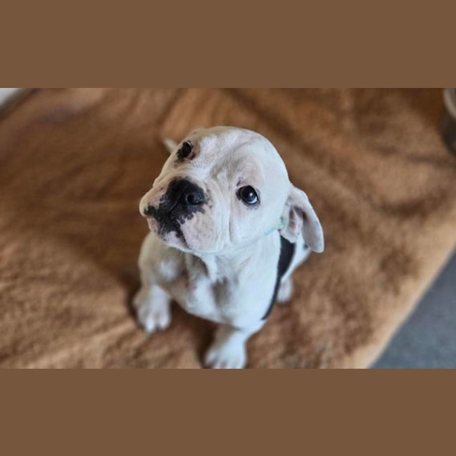 Photo of Kylo