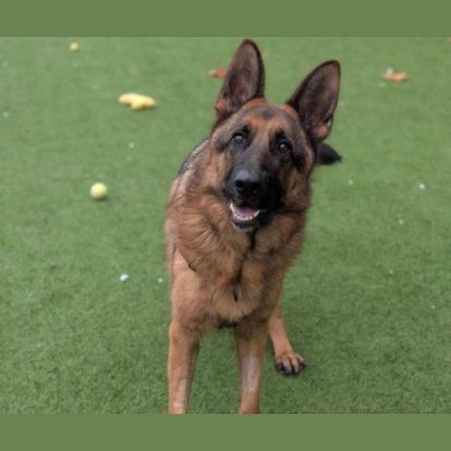 Photo of Zeus