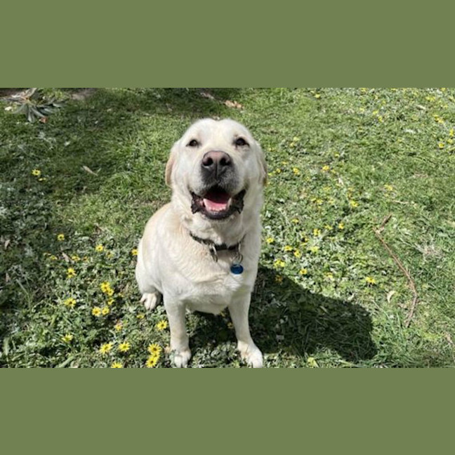 Photo of Charlie