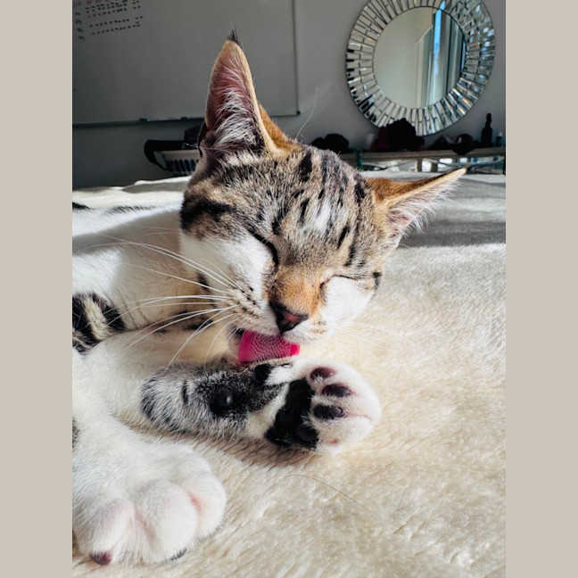 Photo of Zara ❤️