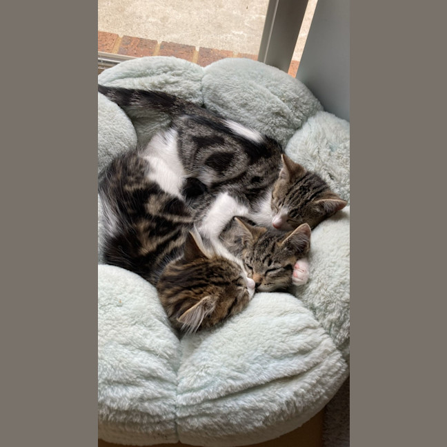 Photo of Jasper