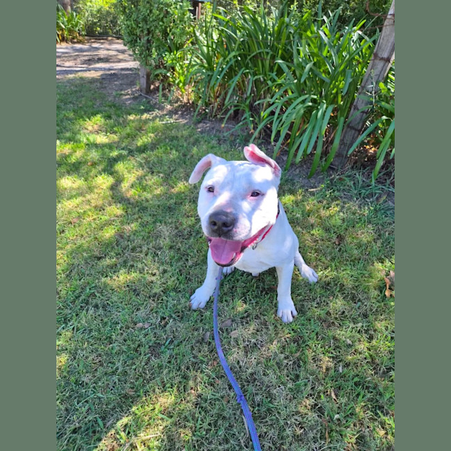 Photo of Stewie 