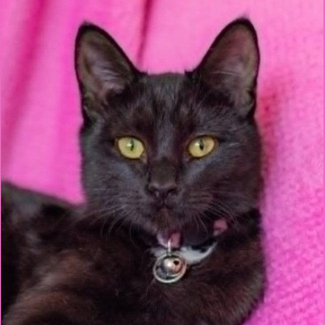 Photo of Star