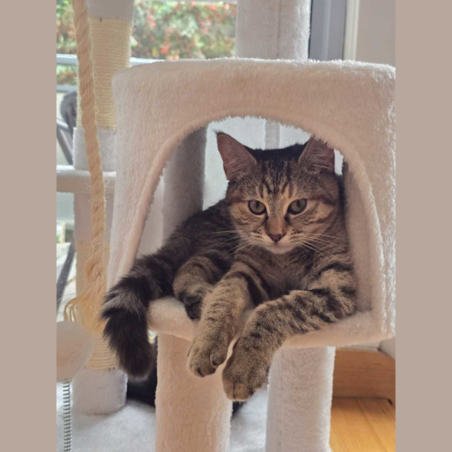 Photo of Cinnamon 