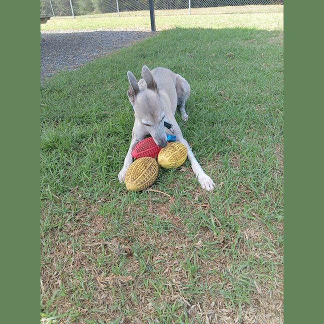 Photo of Gus