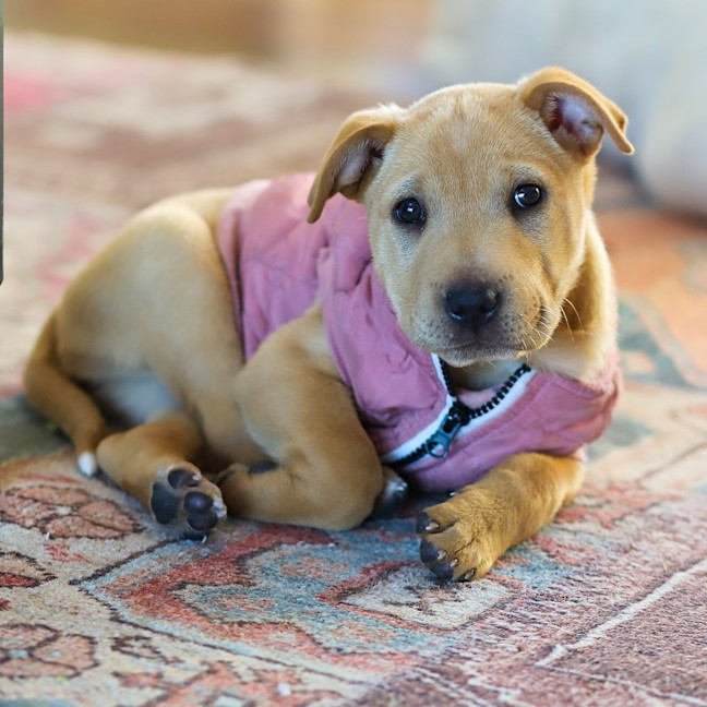 Photo of Winnie