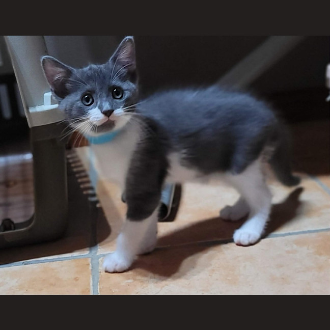 Photo of Jamie (K66)